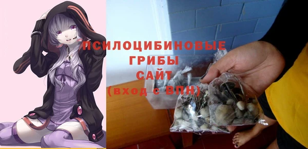 ГАЛЛЮЦИНОГЕННЫЕ ГРИБЫ Вяземский
