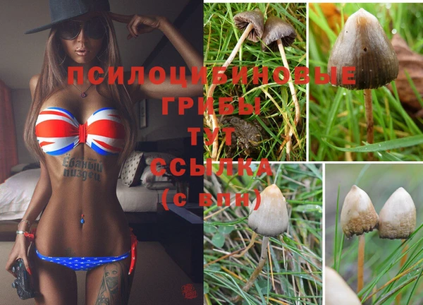 мяу мяу мука Вязники