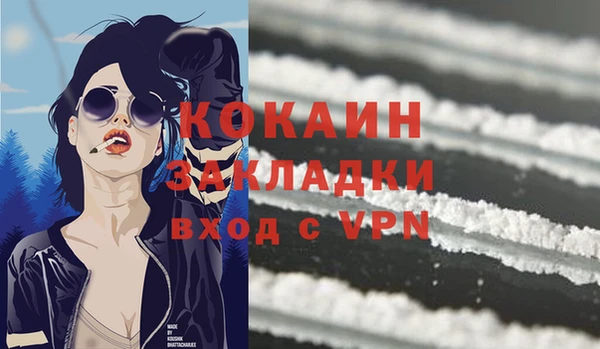 ГАЛЛЮЦИНОГЕННЫЕ ГРИБЫ Вяземский